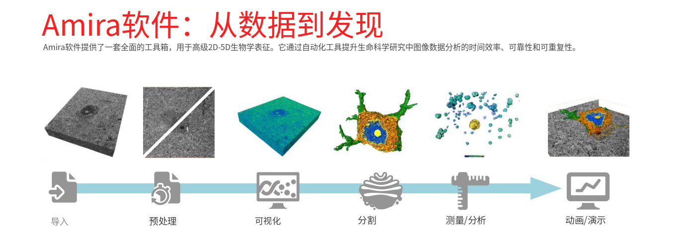 Amira工作流程 - 从数据到发现